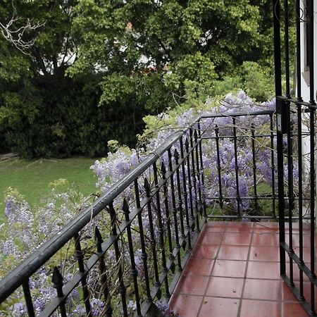 Susana Just Boutique Hotel Vicente López 部屋 写真