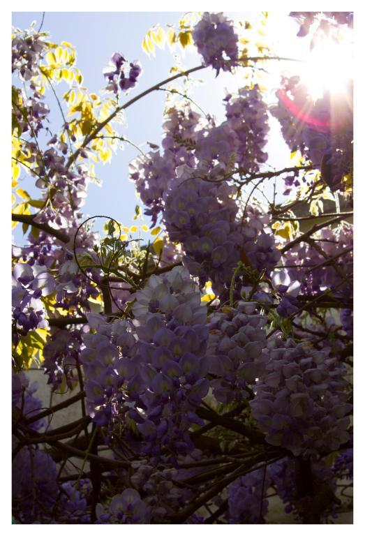 Susana Just Boutique Hotel Vicente López エクステリア 写真