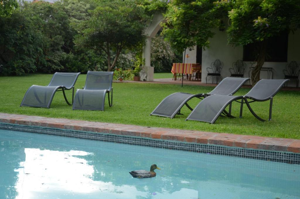 Susana Just Boutique Hotel Vicente López エクステリア 写真