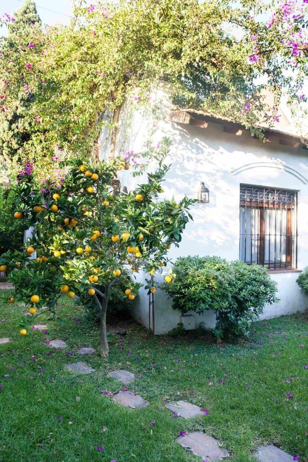 Susana Just Boutique Hotel Vicente López エクステリア 写真